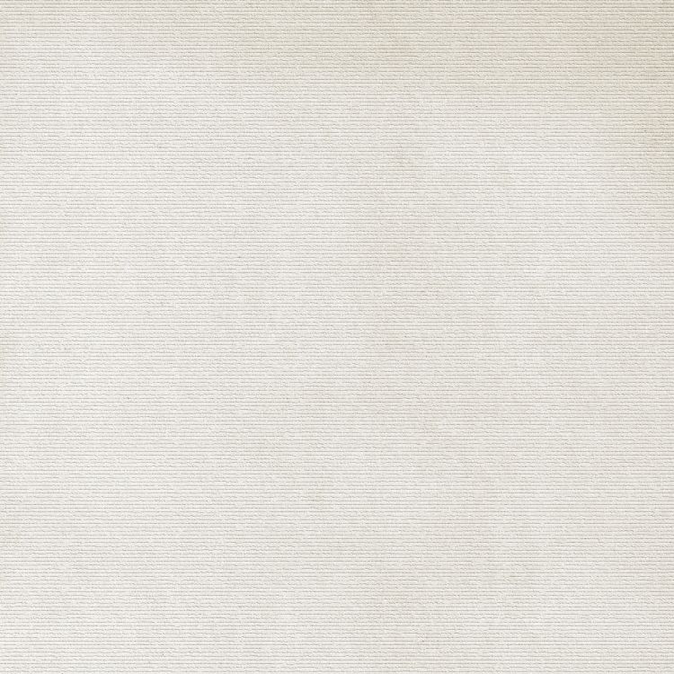 Elevation White Floor 24 x 24
